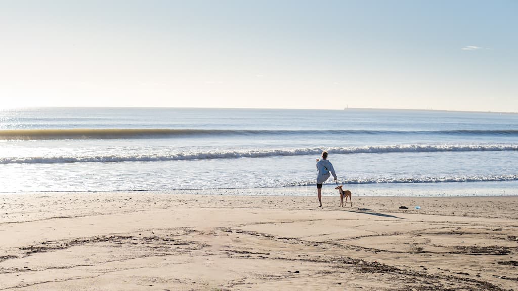 fotografía surf valencia
